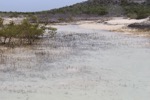 resIMG_20180613_110018_9910.JPG